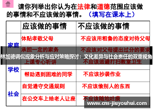 林加德调侃现象分析与应对策略探讨：文化差异与社会责任的双重视角