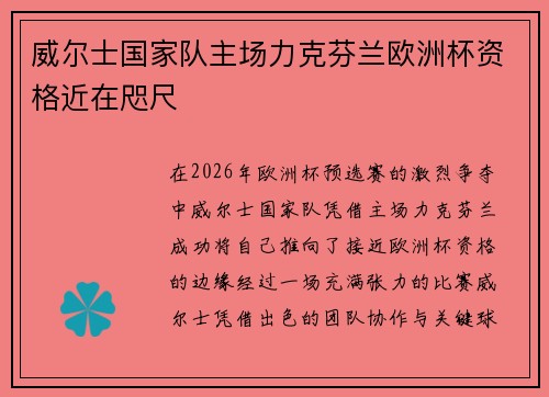 威尔士国家队主场力克芬兰欧洲杯资格近在咫尺