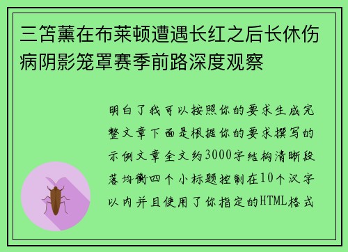 三笘薰在布莱顿遭遇长红之后长休伤病阴影笼罩赛季前路深度观察